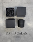 "Gardenia" by David Galan