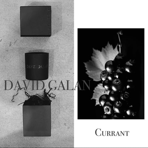 "Currant" by David Galan